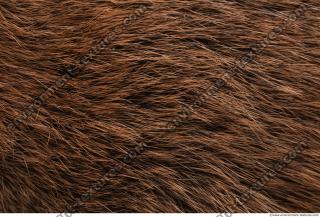 Photo Textures of Animal Skin